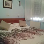فندق Campus Burgo